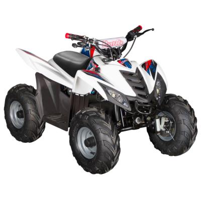 Quad Enfant Hytrack Electrique 